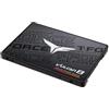 TEAM GROUP SSD Team Group VULCAN Z 256 GB Nero/Grigio SATA 6 Gb/s