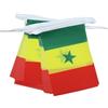 AZ FLAG Ghirlanda 6 Metri 20 Bandiere Senegal 21x15cm, Bandiera Senegalese 15 x 21 cm - Festone Bandierine