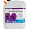 Lapi Piscina Semplice - Alghicida S3 - Antialghe - Confezione Da 5 Kg