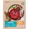 Purina One Cane Dental Adult Mini Pollo e Riso 800G