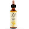 SCHWABE PHARMA ITALIA Srl Cerato Bach Orig 20 Ml