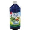 LIFE 120 ITALIA Srl Aloe Spice 1000 Ml