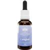BUSH BIOTHERAPIES Pty Ltd Caregiver 30 Ml