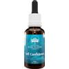 GREEN REMEDIES AUTOSTIMA 30ML AUSTRALIAN