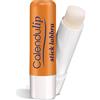 FITOBIOS Srl Calendulip Burrocacao Stick 5,5 Ml