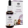 BUSH BIOTHERAPIES Pty Ltd Calming Separation 30 Ml