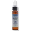 FORZA VITALE ITALIA Srl Fiori Mediterranei Gentian 10 Ml
