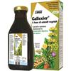 SALUS HAUS Gmbh & Co KG Gallexier 250 Ml