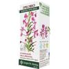 GIORGINI Epilobio Estratto Integrale 200 Ml