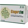 FEDESIL Srl Gingerzim 30 Capsule