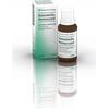 BIOLOGISCHE HEILM. HEEL HAMAMELIS HOMACCORD*OS GTT30ML