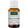 SOLIME' Herbae Ginepro Olio Essenziale 10 Ml