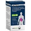 AGIPS FARMACEUTICI Lactis B-complex 14 Stick Pack