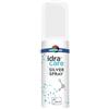 MASTER AID Master-aid Idracare Silver Spray 125 Ml