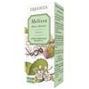 ERBAMEA SRL Melissa 50 Ml