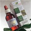 SANGALLI Srl Melissa Tintura Madre 100 Ml