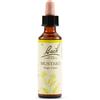 SCHWABE PHARMA ITALIA Srl Mustard Bach Orig 20 Ml