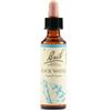 SCHWABE PHARMA ITALIA Srl Rock Water Bach Orig 20 Ml