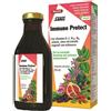 SALUS HAUS Salus Immuno Protect 250 Ml