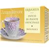 ERBAMEA Zenzero/lim Bio 20 Bustine 30 G