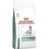 ROYAL CANIN Veterinary Health Nutrition Dog Diabetic 1,5 Kg