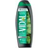 CONTER Srl Doccia Shampoo Menta & Ginkgo Vidal 250ml