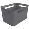 Rotho Brisen Grande Contenitore con 4 Maniglie, Plastica (PP) senza BPA, Grigio (Antracite), 16 L, 36.0 x 26.2 x 21.1 cm