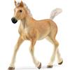 SCHLEICH PULEDRO AVELIGNESE