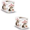 Royal Canin Ageing 12+ in Salsa | Confezione Doppia | 2 x 12 x 85 g | Alimento completo per gatti anziani a partire dai 12 anni | Può sostenere la salute dei reni e delle articolazioni