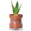 Phoenix Vine Vaso autoirrigante da 15,2 cm, in terracotta con serbatoio in vetro, per piante da interno, erbe, fiori, set da 1, 52-A-F-1