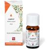 FITOMEDICAL Srl CAJEPUT OLIO ESSENZIALE 10ML