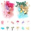 CONNECTION 2 scatole resina epossidica fiori secchi naturali pressati e foglie miste fiore essiccato multicolore mini fiori secchi per fai da te artigianato candele scrapbook decorazione
