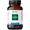 Natur Magnolmin 60 Capsule