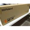 Roland Strumento a fiato digitale ROLAND AE-30 Aerophone Pro con borsa nuovo