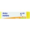 BOIRON Srl ARNICA MONTANA MK GLOBULI