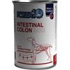 F10 CANE INTESTINAL COLON 390