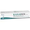AURORA BIOFARMA Srl KANADOL PASTA 30 G