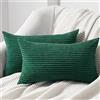 Topfinel Federe Cuscini 30x50 in Velluto a Coste per Divano Verde Scuro Copricuscini Quadrati Elegante Decorativa per Salotto Moderno Cuscino Cerniera Invisibile per Camera da Letto Set 2 Pezzi