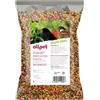 All Pet Alimento per uccelli liberi con frutta 500 g