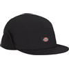 DICKIES GLENDIVE CAP Berretto