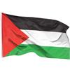 Aricona Bandiera Palestina 90x150cm - palestinese - resistente alle intemperie - occhielli in ottone - 100% poliestere - cuciture doppie robuste e colori vivaci - ideale per gli amanti delle bandiere