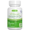 Igennus Healthcare Nutrition VESIsorb Ubiquinol-QH, Coenzima Q10 100mg, integratore Ubiquinolo CoQ10 Kaneka ad Alto Assorbimento e Azione Rapida, per maggiore energia e salute del cuore, 30 capsule softgels