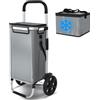 VOUNOT® Carrello della Spesa Pieghevole in Alluminio, Carrello Portaspesa con Borsa e Sacca Termica, Ruote Silenziose e Parafanghi, 58L, Grigio