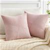 Topfinel Federe Cuscini 60x60 Rose in Velluto a Coste Copricuscini con Cerniera Invisibile Motivo A righe per Soggiorno Camera Balcone Esterno 2 Pezzi