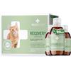 RECOACTIV Recovery Immunitario per gatti, 3 x 90 ml, mangime completo ad alto potere calorico in caso di alimentazione carente e durante la convalescenza per stimolare l'aumento di peso