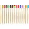 Apkpesterml 15 Pcs Spazzolino Bambù Naturale Ecologico Vegano Biodegradabile Legno | Spazzolini viaggio bulk, set multicolore adulti, setole morbide pulizia profonda, manico resistente, vrac durevole