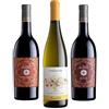 Enoteca Selezione 3 Vini Siciliani DOC 2022 Feudo Arancio Nero D'Avola, Syrah, Tinchitè