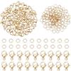 PH PandaHall 120pz 4mm Anelli di Salto Aperti Oro Anellini Aperti Acciaio Inox con 60pz Chiusura ad Artiglio di Aragosta per Gioielli Bracciale Collana Orecchini Portachiavi Fai Da Te