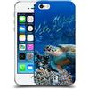 Head Case Designs Tartaruga di Mare Seduta sulla Barriera Corallina Animali Selvatici Custodia Cover in Morbido Gel Compatibile con Apple iPhone 5 / iPhone 5s / iPhone SE 2016