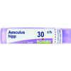 LABORATOIRES BOIRON Srl AESCULUS HIPPOCASTANUM 30 CH GRANULI